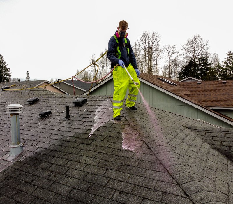 roof washing services Alabama